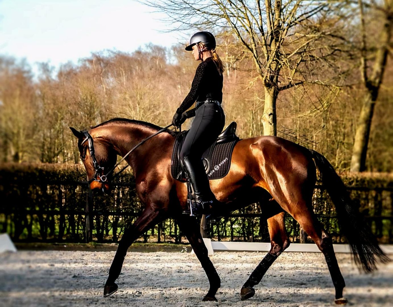 Why Equiherds Aims to Become the Best Equestrian Platform for Riders and Professionals
